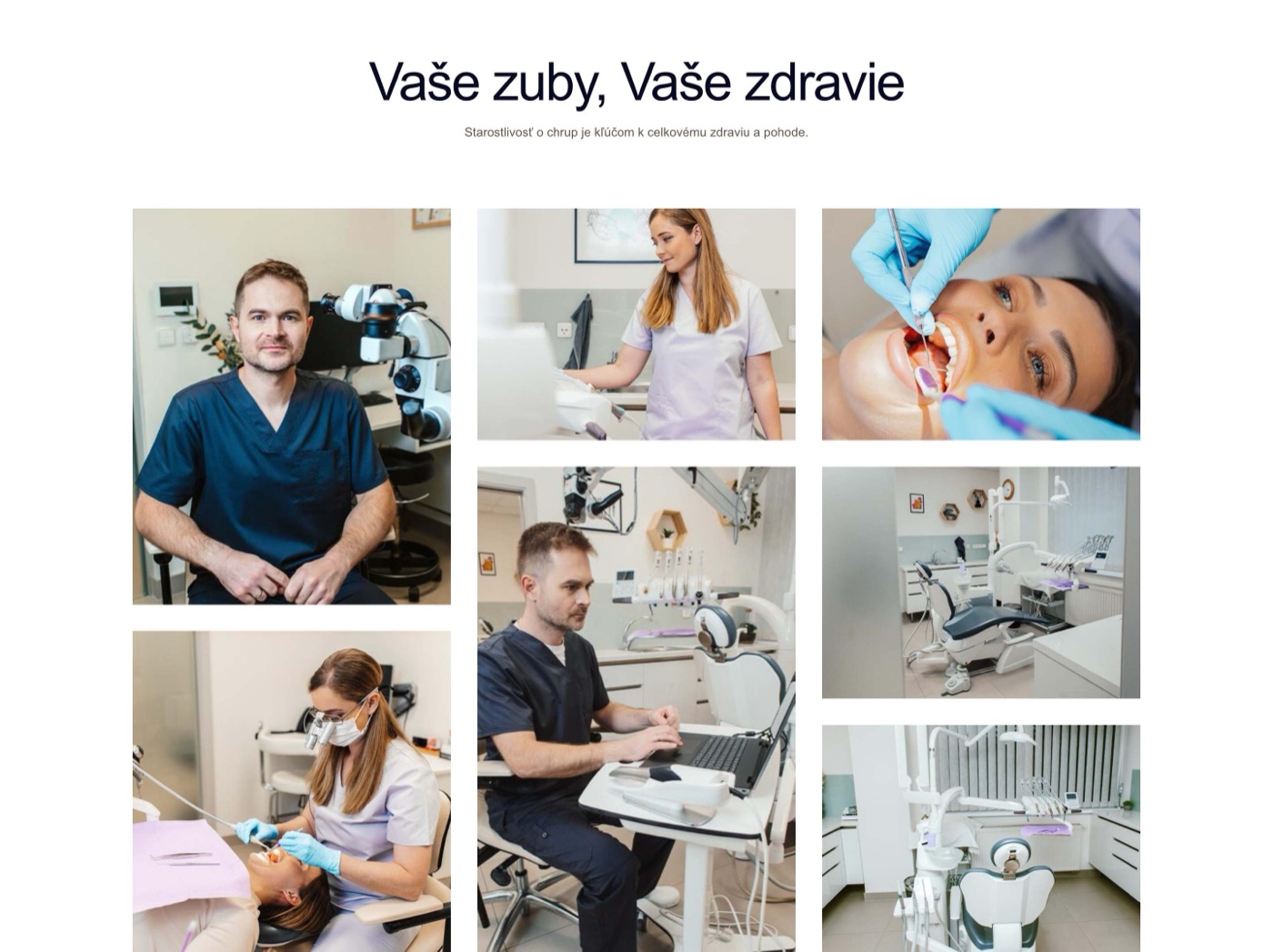 Webová stránka — ukážka